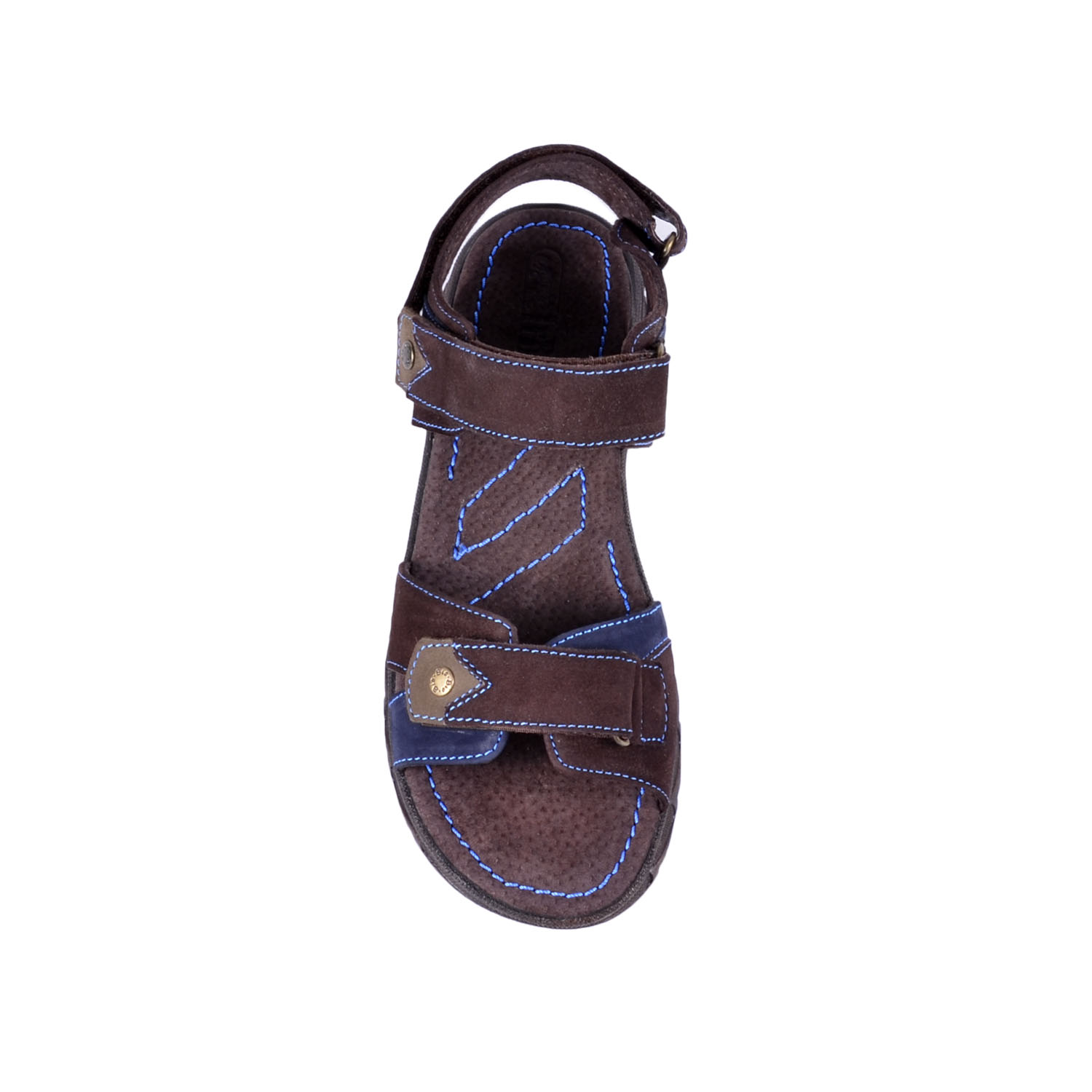 491_brown_2.jpg