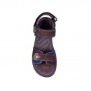 491_brown_2.jpg